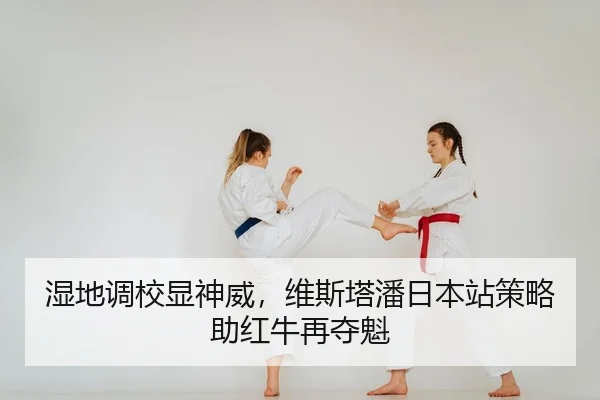 shi-di-diao-xiao-xian-shen-wei-wei-si-ta-pan-ri-ben-zhan-ce-lve-zhu-hong-niu-zai-duo-kui-2-240.jpg